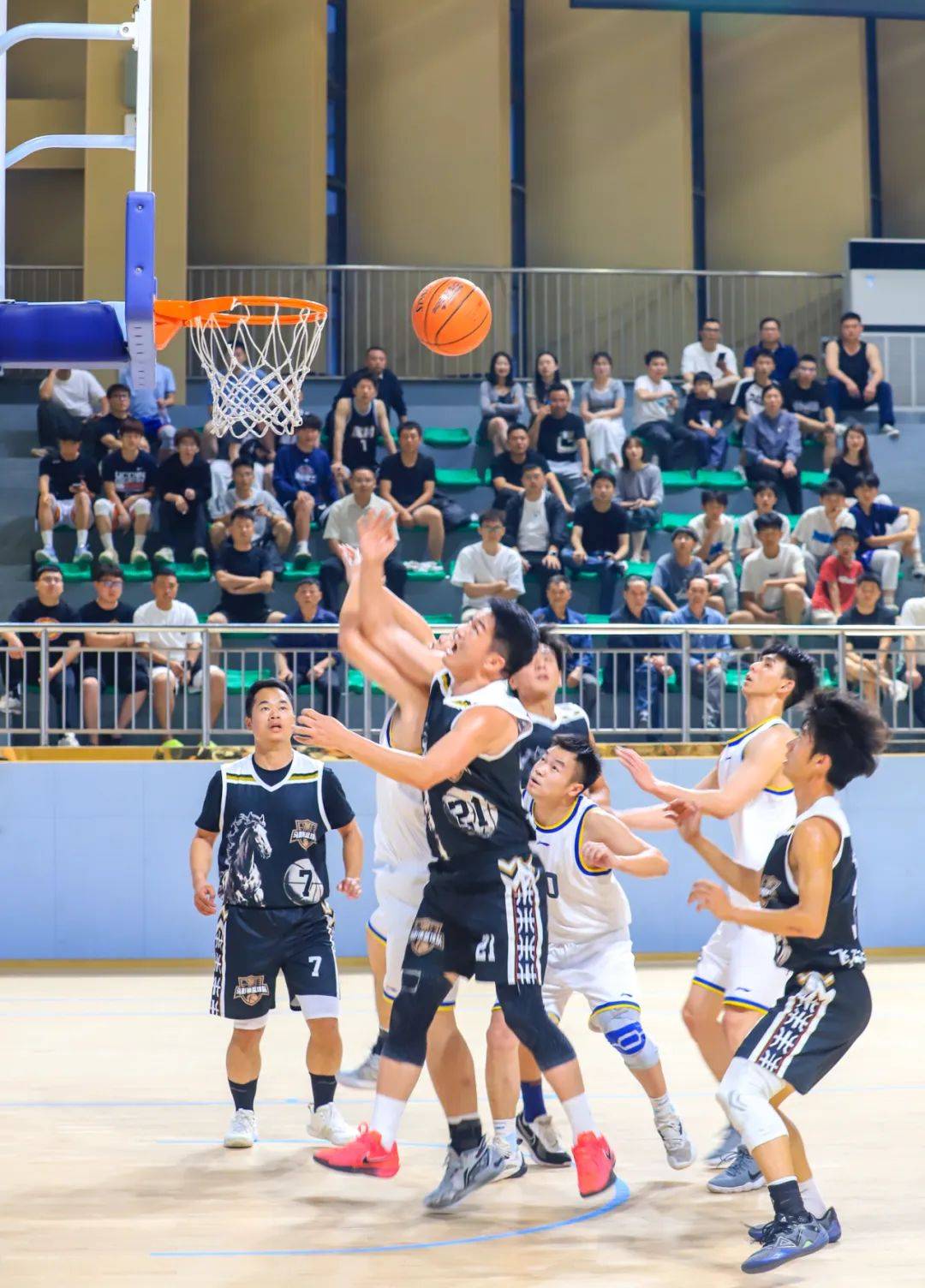 高能篮球赛事激情上演，全场观众沸腾的简单介绍