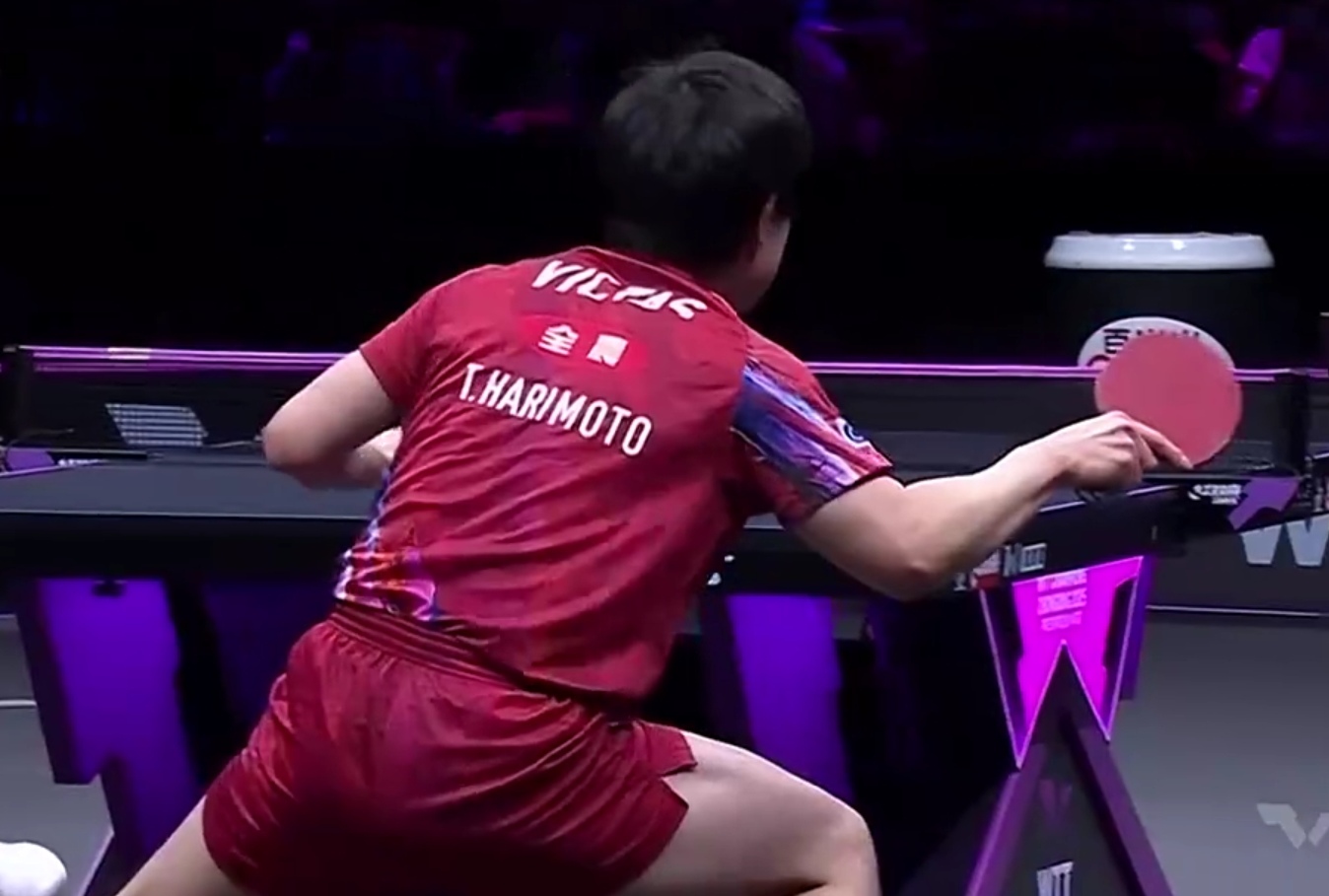 德国队完胜日本队，张本智和高光表现